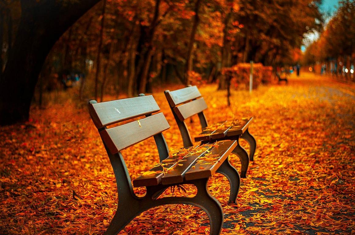 herbst