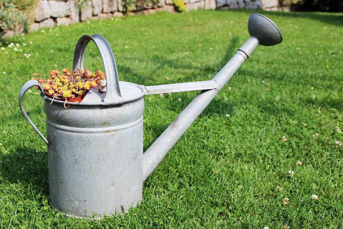 Mehr Freizeit im Garten und top gepflegter Rasen