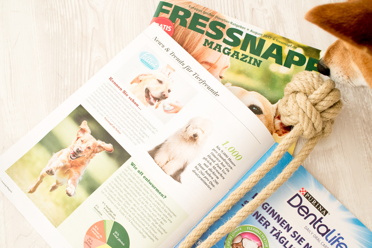 Frauchen, beschäftige mich! DIY Hundespielzeug (Affenfaust Frauchen, beschäftige mich! DIY Hundespielzeug (Affenfaust