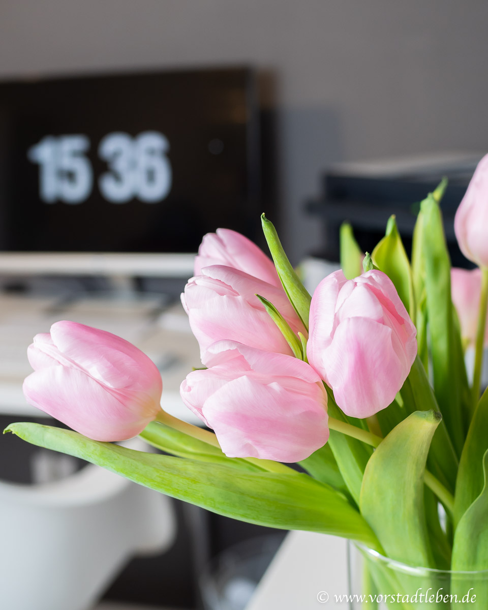 Arbeitszimmer Blumen