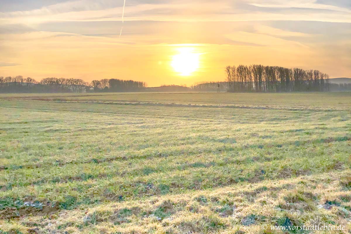 Sonnenaufgang Winter