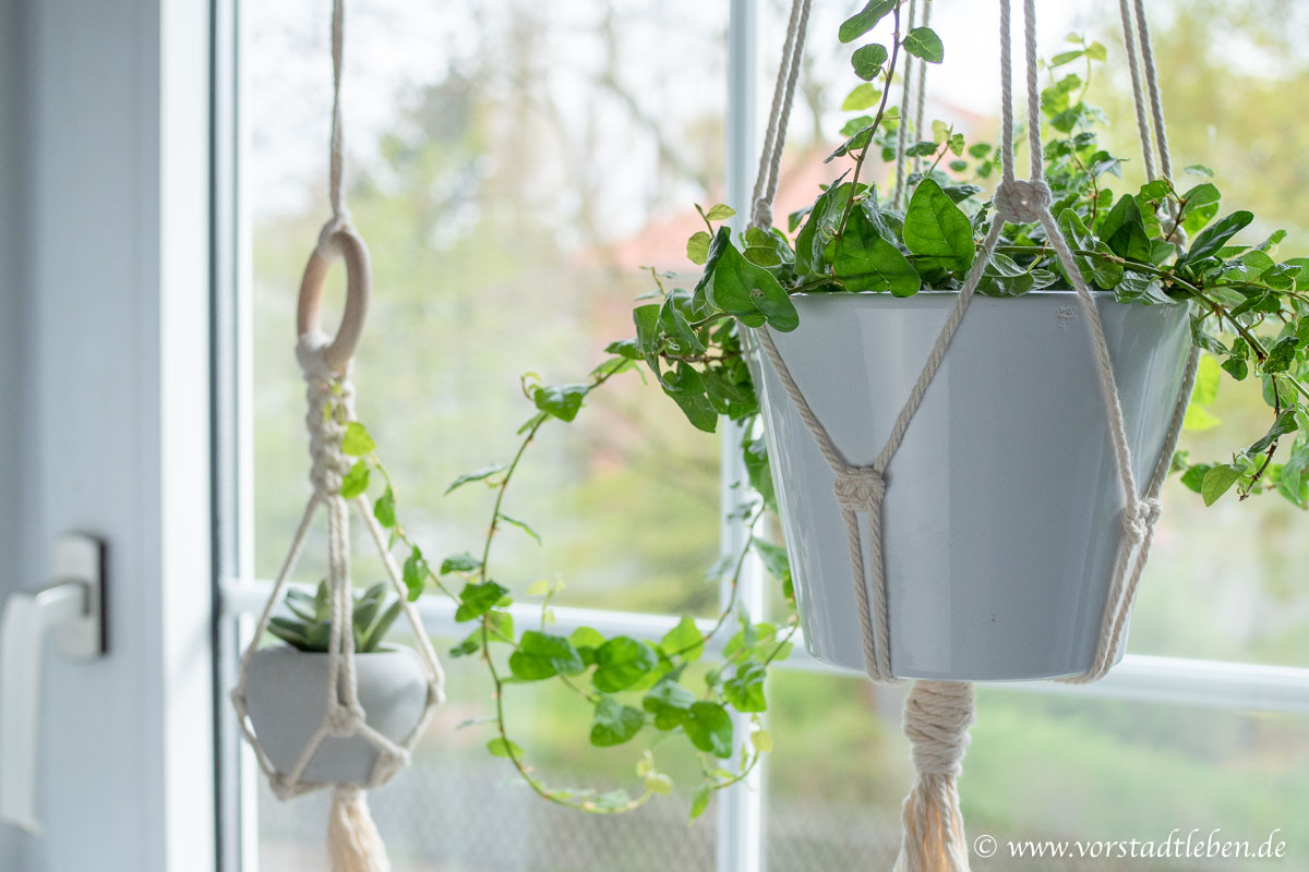 Fensterdeko Mit Makramee Anleitung Fur Blumenampel Und Deko Blatt