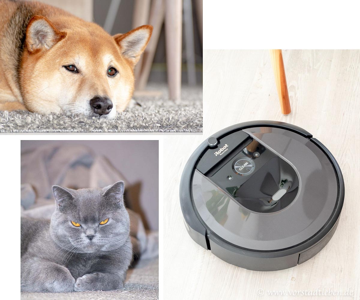 Haustiere und iRobot Rommba i7pl