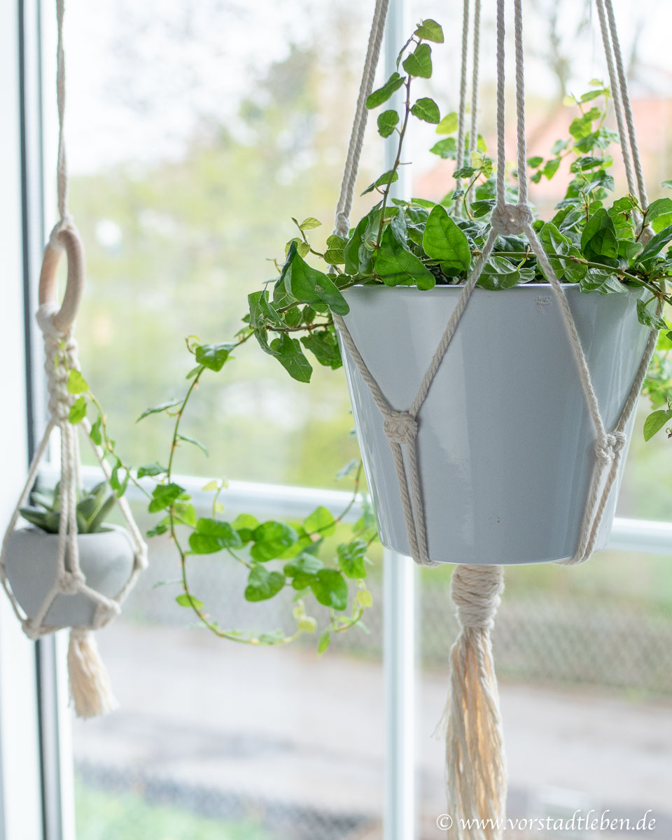 Fensterdeko Mit Makramee Anleitung Fur Blumenampel Und Deko Blatt