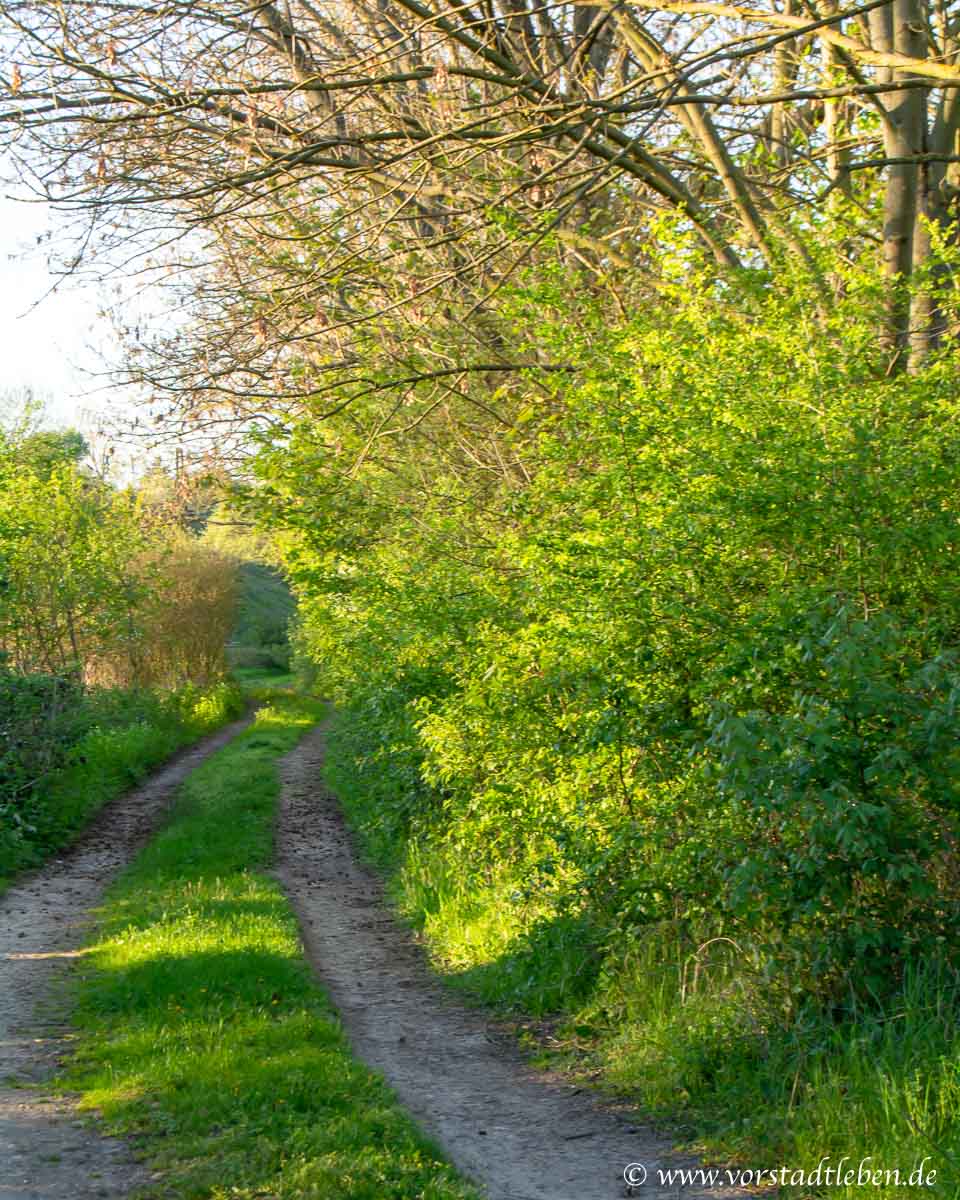 Raus in die Natur weg