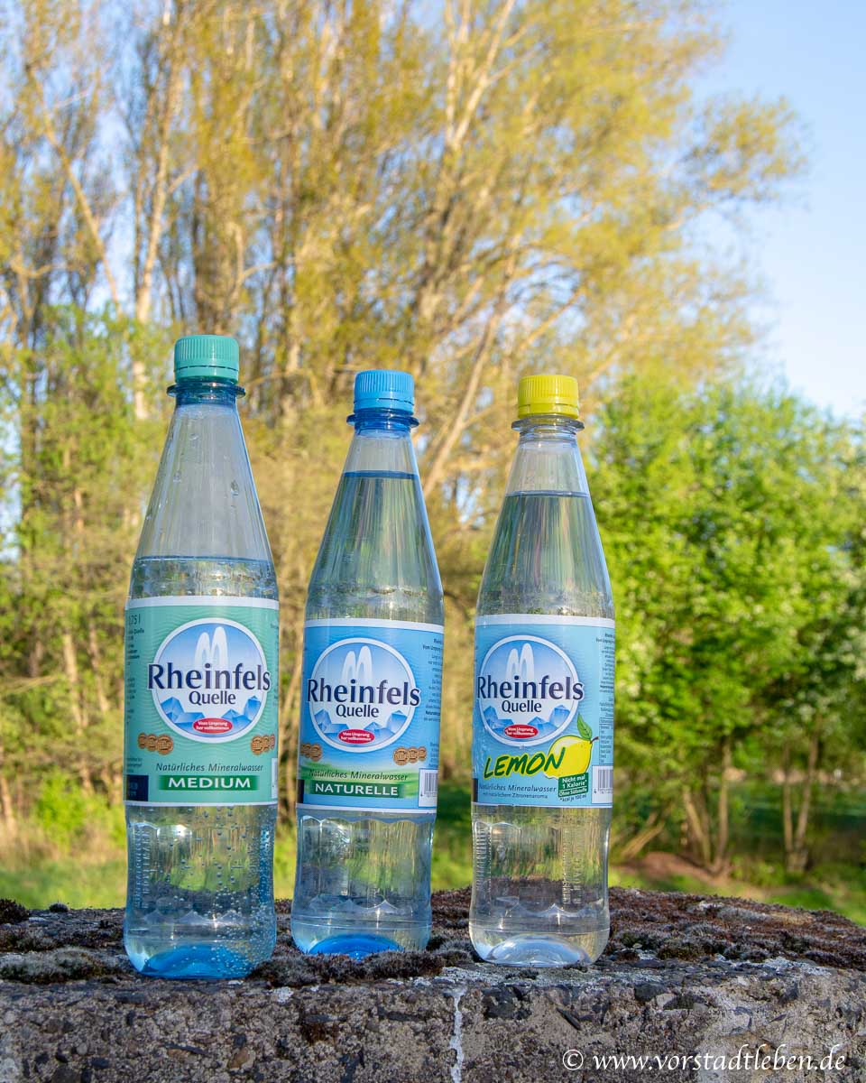 Rheinfels Quelle Natur