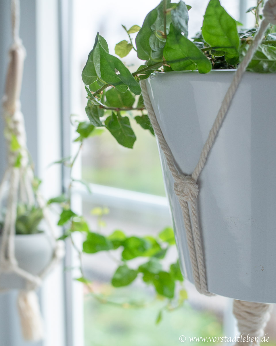 fensterdeko Makramee Blumenampeln