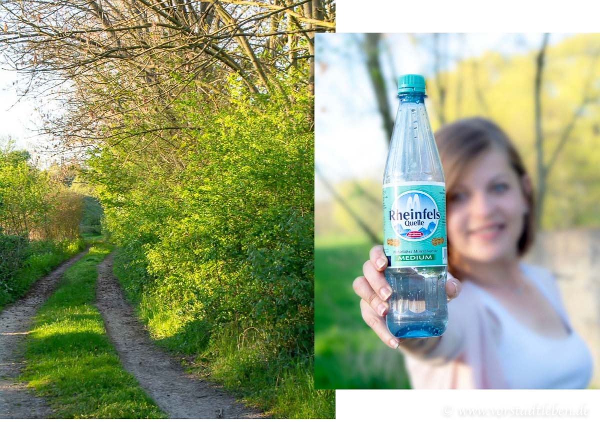 raus in den fruehling rheinfels quelle