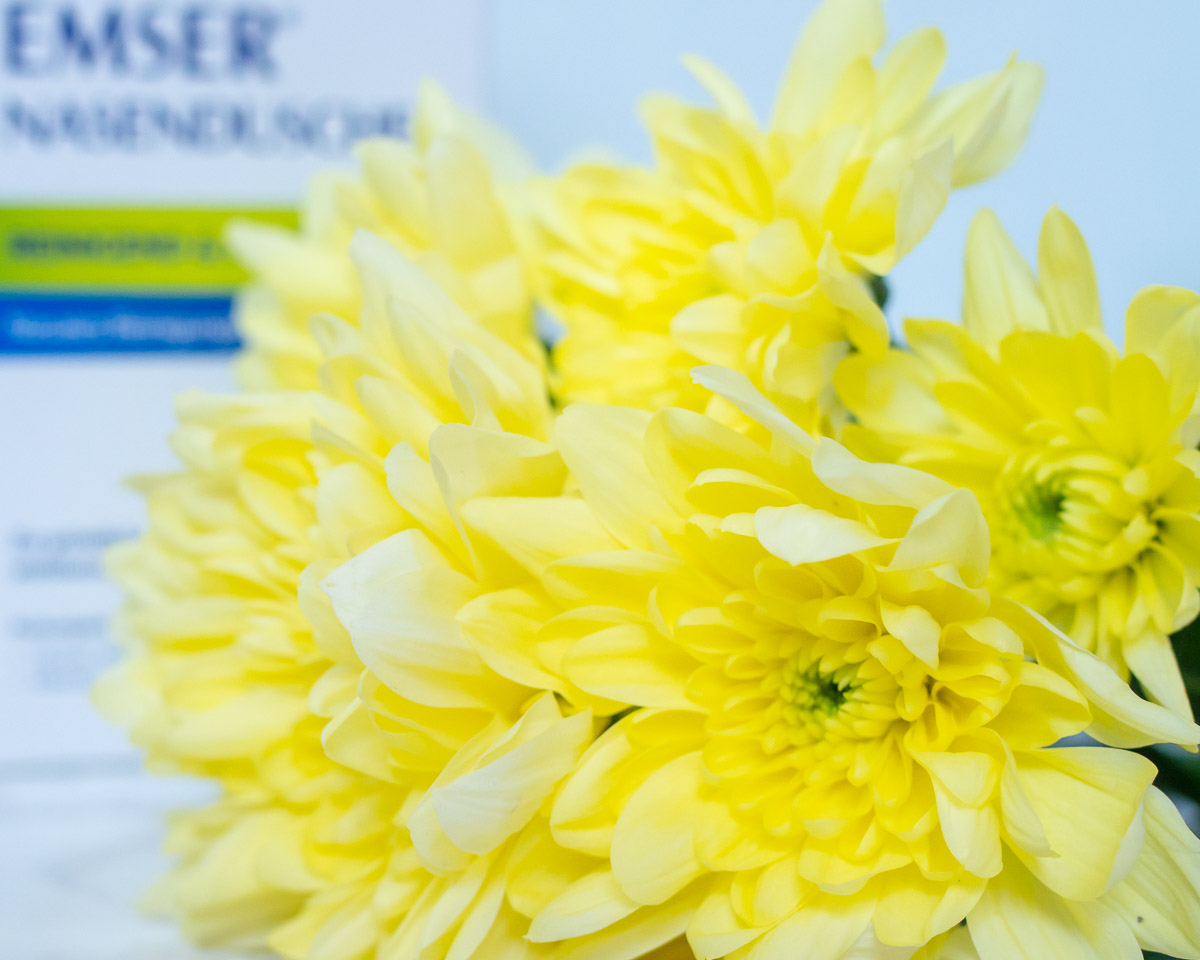 Fruehling blueten pollen allergie EMSER Nasendusche