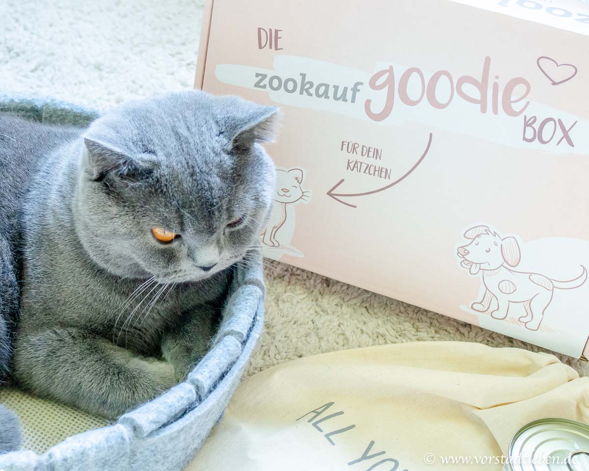 Katze Goodie Box zookauf shop de