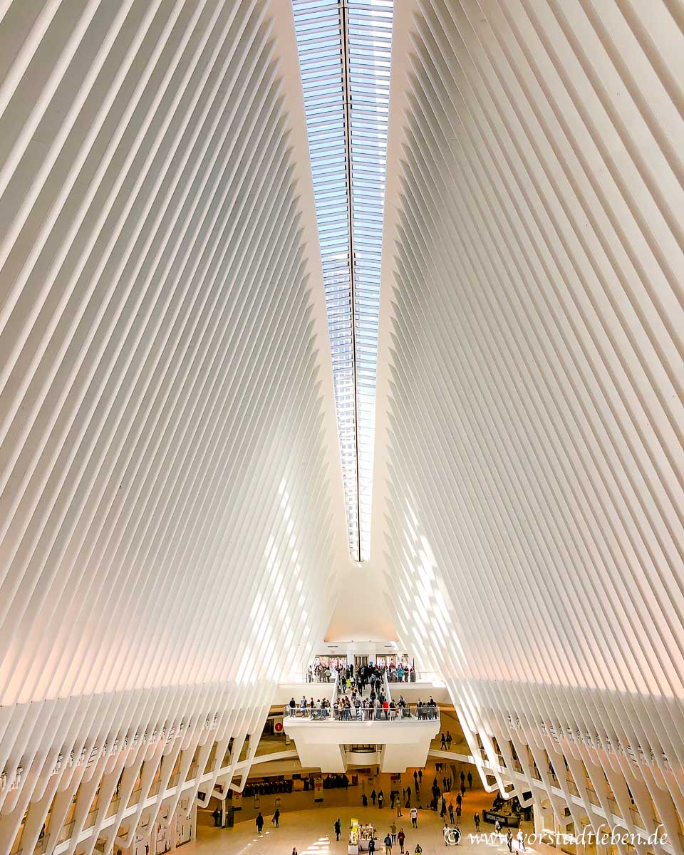 New York im Oculus