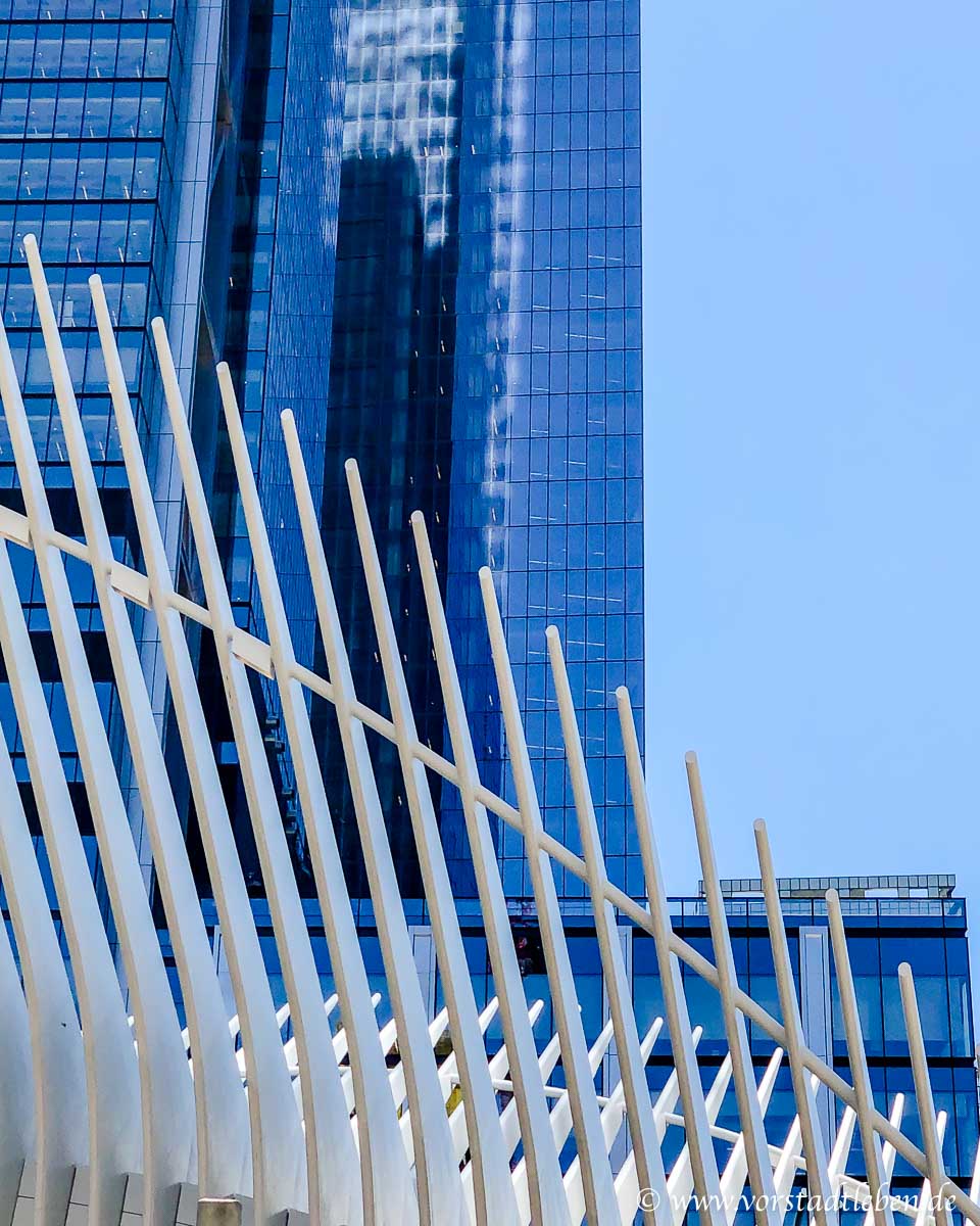 New York oculus