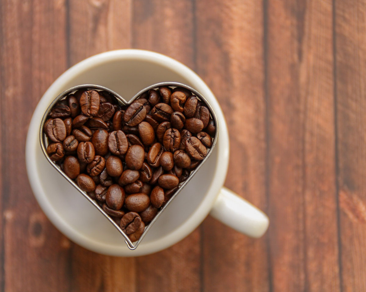 kaffee welche kaffeemaschine ist die richtige