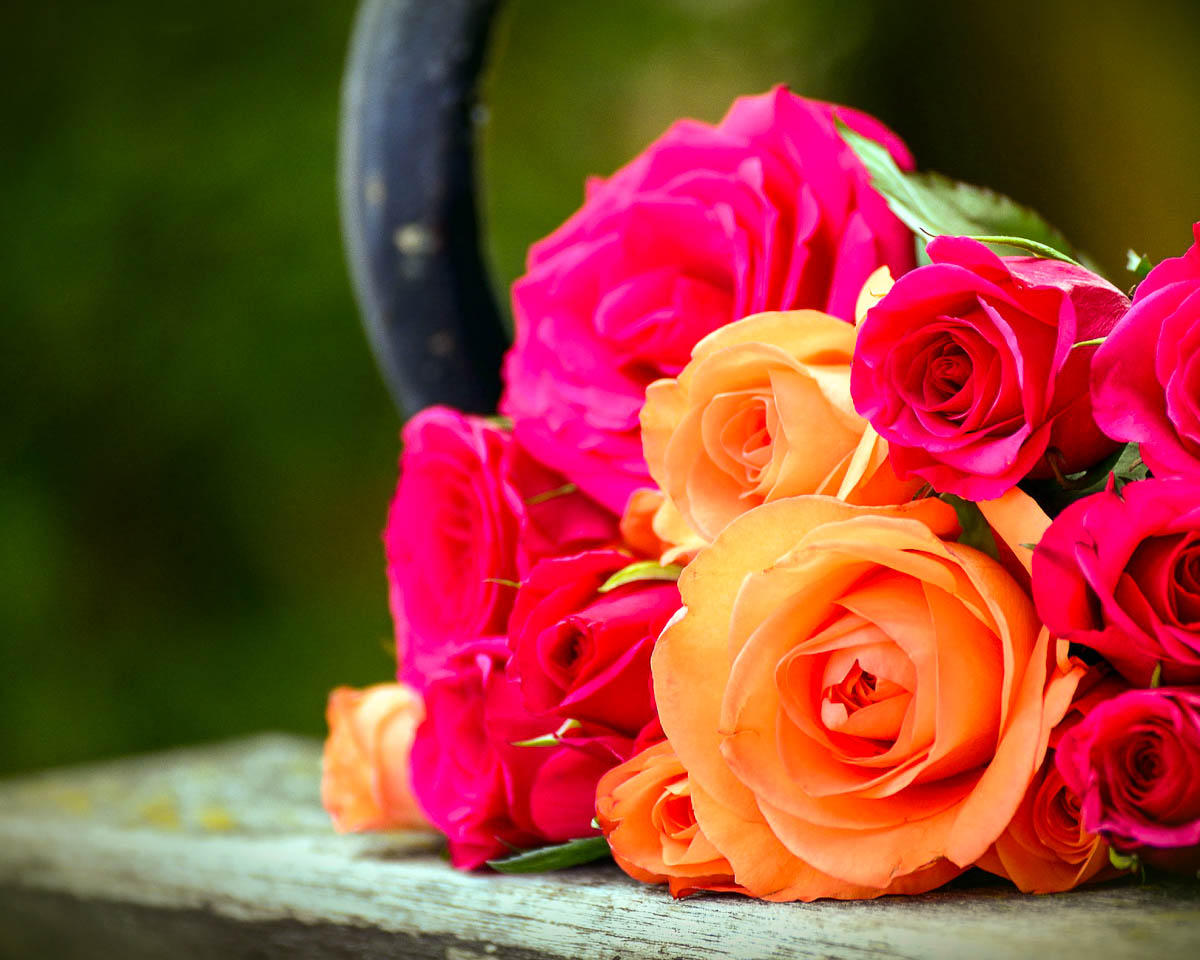 Geburtstag blumen