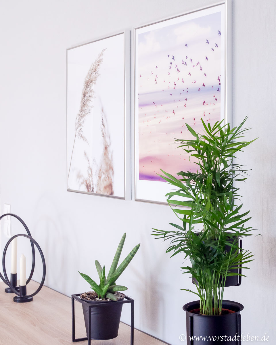 Poster Pflanzen Dekoration Sideboard