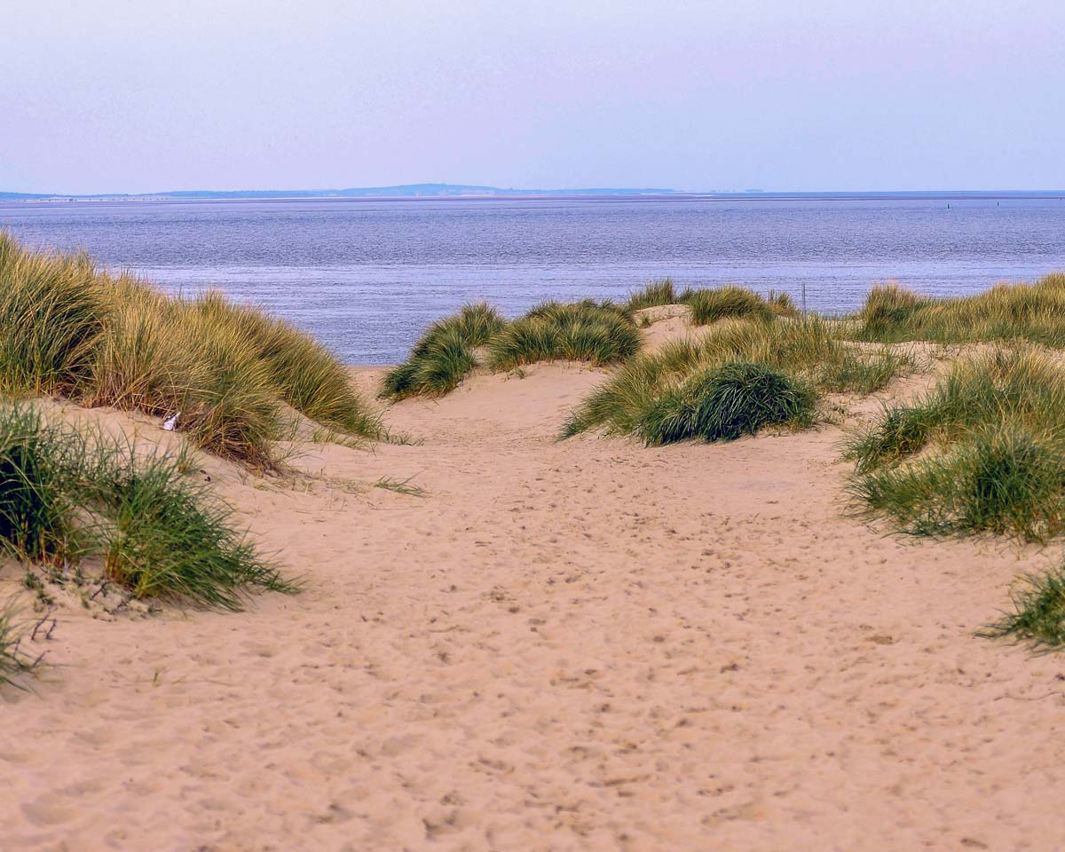 Strand duenen