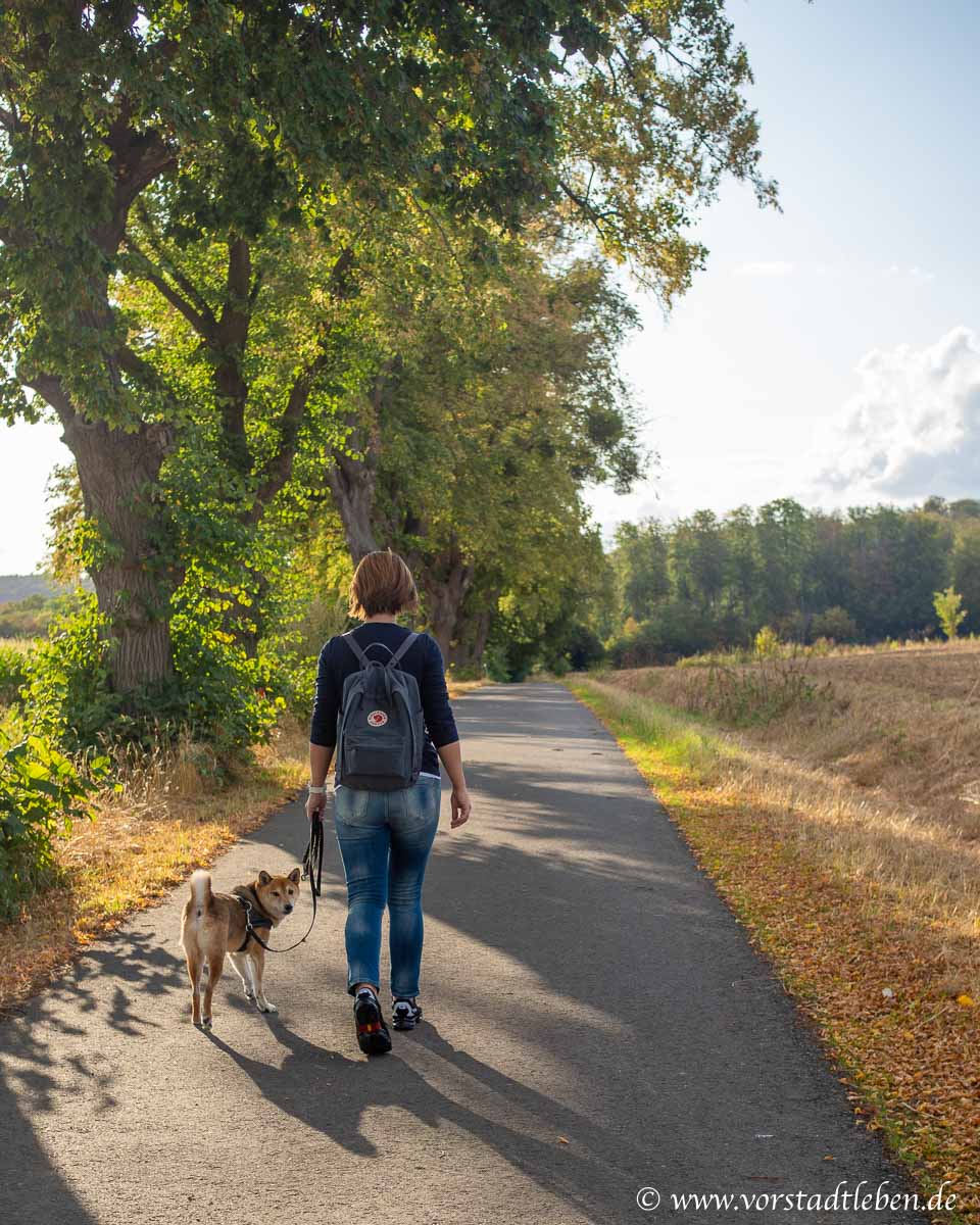 Spaziergang in der natur baer schuhe